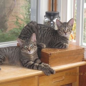 Meet your Posher, Mary ann